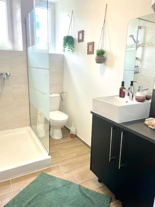 Logement Cosy Et Jardin Saint-Laurent-en-Royans Luaran gambar